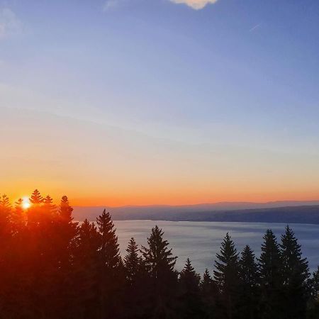 Chalet Chalon Meillerie Екстериор снимка